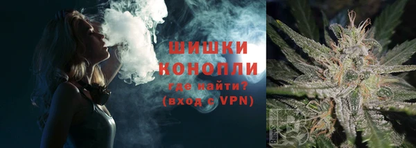 молекула духа Бугульма