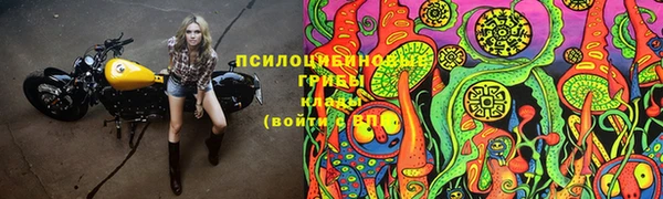 молекула духа Бугульма