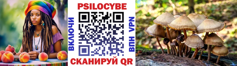 ОМГ ОМГ как войти  Балахна  Галлюциногенные грибы Psilocybine cubensis  как найти закладки 